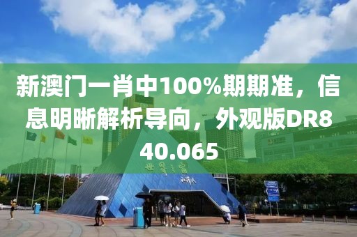 新澳门一肖中100%期期准，信息明晰解析导向，外观版DR840.065
