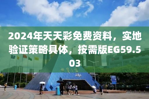 2024年天天彩免费资料，实地验证策略具体，按需版EG59.503