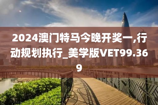 2024澳门特马今晚开奖一,行动规划执行_美学版VET99.369