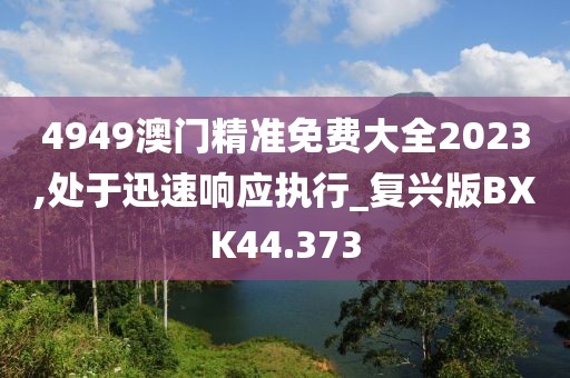 4949澳门精准免费大全2023,处于迅速响应执行_复兴版BXK44.373