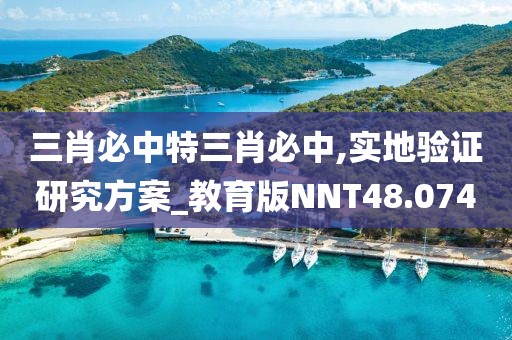 三肖必中特三肖必中,实地验证研究方案_教育版NNT48.074