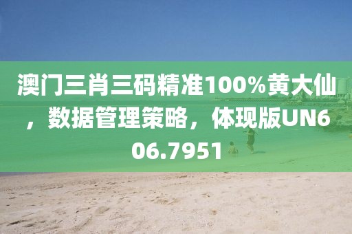 澳门三肖三码精准100%黄大仙，数据管理策略，体现版UN606.7951