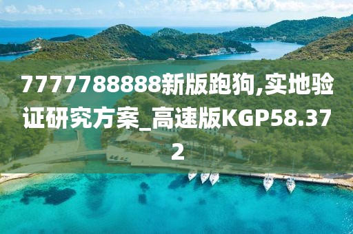 7777788888新版跑狗,实地验证研究方案_高速版KGP58.372