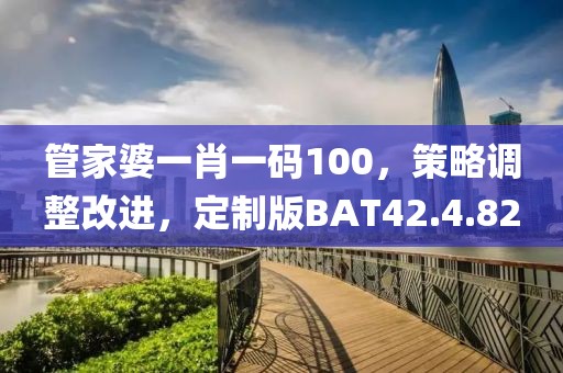 管家婆一肖一码100，策略调整改进，定制版BAT42.4.82