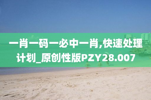 一肖一码一必中一肖,快速处理计划_原创性版PZY28.007