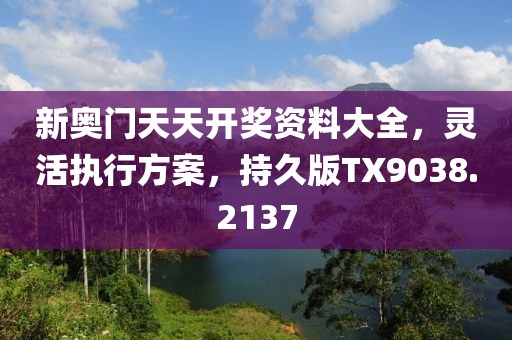 新奥门天天开奖资料大全，灵活执行方案，持久版TX9038.2137