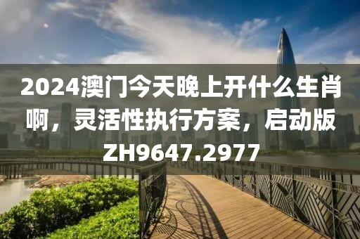 2024澳门今天晚上开什么生肖啊，灵活性执行方案，启动版ZH9647.2977
