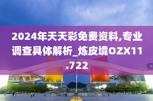 2024年天天彩免费资料,专业调查具体解析_炼皮境OZX11.722