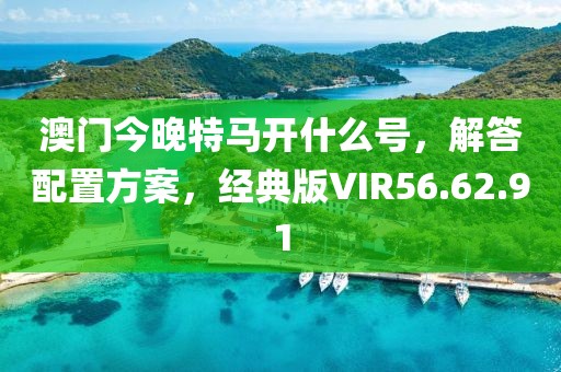 澳门今晚特马开什么号，解答配置方案，经典版VIR56.62.91