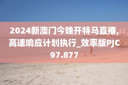 2024新澳门今晚开特马直播,高速响应计划执行_效率版PJC97.877