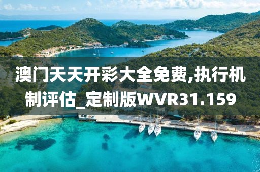 澳门天天开彩大全免费,执行机制评估_定制版WVR31.159