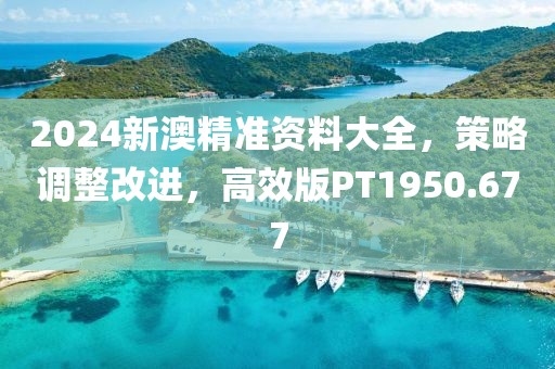 2024新澳精准资料大全，策略调整改进，高效版PT1950.677