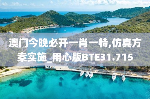 澳门今晚必开一肖一特,仿真方案实施_用心版BTE31.715