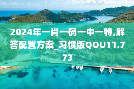 2024年一肖一码一中一特,解答配置方案_习惯版QOU11.773