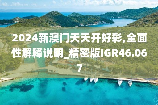 2024新澳门天天开好彩,全面性解释说明_精密版IGR46.067