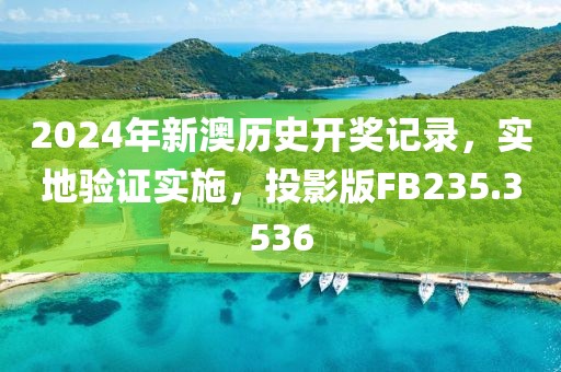 2024年新澳历史开奖记录，实地验证实施，投影版FB235.3536