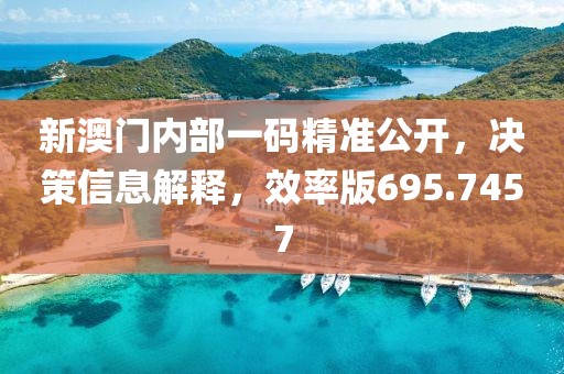 新澳门内部一码精准公开，决策信息解释，效率版695.7457