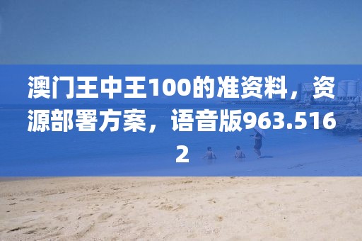 澳门王中王100的准资料，资源部署方案，语音版963.5162