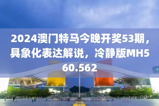 2024澳门特马今晚开奖53期，具象化表达解说，冷静版MH560.562
