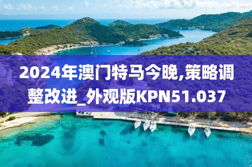 2024年澳门特马今晚,策略调整改进_外观版KPN51.037