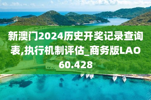 新澳门2024历史开奖记录查询表,执行机制评估_商务版LAO60.428