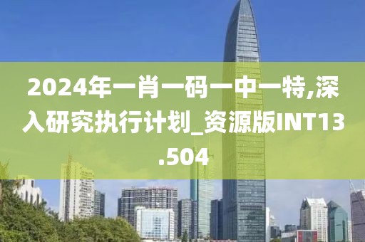 2024年一肖一码一中一特,深入研究执行计划_资源版INT13.504