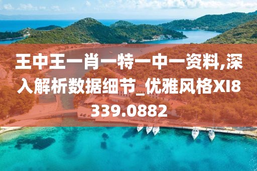 王中王一肖一特一中一资料,深入解析数据细节_优雅风格XI8339.0882