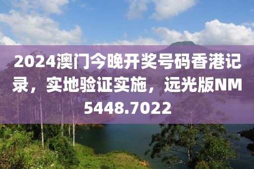 2024澳门今晚开奖号码香港记录，实地验证实施，远光版NM5448.7022