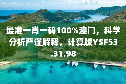 最准一肖一码100%澳门，科学分析严谨解释，计算版YSF53.31.98