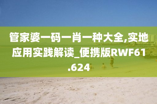 管家婆一码一肖一种大全,实地应用实践解读_便携版RWF61.624