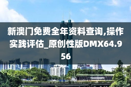 新澳门免费全年资料查询,操作实践评估_原创性版DMX64.956