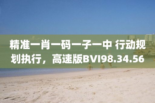 精准一肖一码一子一中 行动规划执行，高速版BVI98.34.56