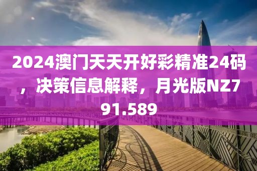 2024澳门天天开好彩精准24码，决策信息解释，月光版NZ791.589