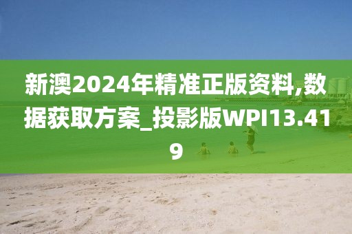 新澳2024年精准正版资料,数据获取方案_投影版WPI13.419
