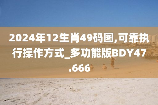 2024年12生肖49码图,可靠执行操作方式_多功能版BDY47.666