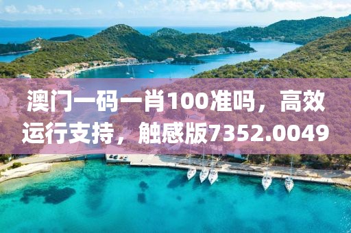 澳门一码一肖100准吗，高效运行支持，触感版7352.0049
