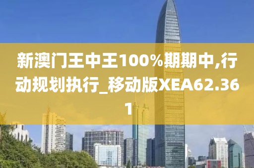 新澳门王中王100%期期中,行动规划执行_移动版XEA62.361
