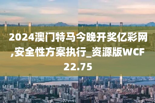 2024澳门特马今晚开奖亿彩网,安全性方案执行_资源版WCF22.75