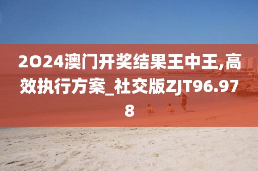 2O24澳门开奖结果王中王,高效执行方案_社交版ZJT96.978