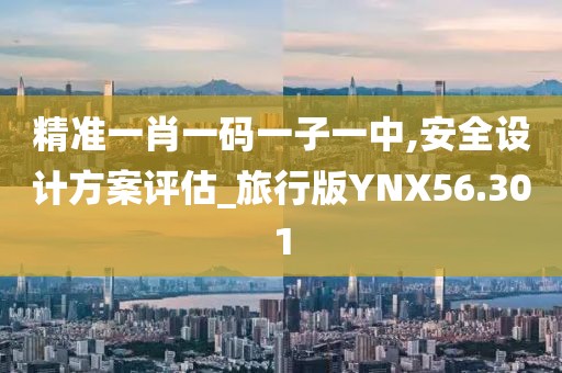 精准一肖一码一子一中,安全设计方案评估_旅行版YNX56.301