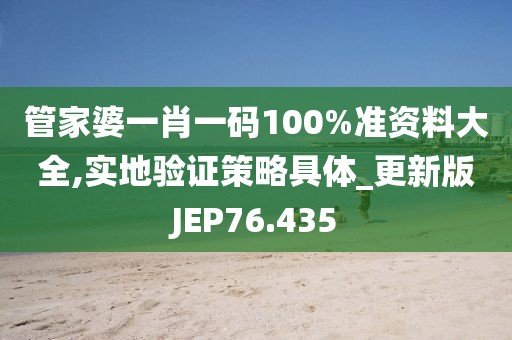 管家婆一肖一码100%准资料大全,实地验证策略具体_更新版JEP76.435