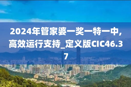 2024年管家婆一奖一特一中,高效运行支持_定义版CIC46.37