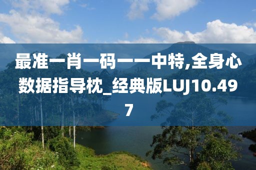 最准一肖一码一一中特,全身心数据指导枕_经典版LUJ10.497