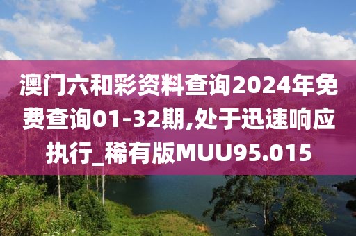 澳门六和彩资料查询2024年免费查询01-32期,处于迅速响应执行_稀有版MUU95.015