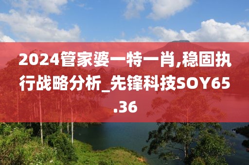 2024管家婆一特一肖,稳固执行战略分析_先锋科技SOY65.36