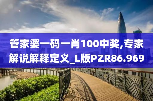 管家婆一码一肖100中奖,专家解说解释定义_L版PZR86.969