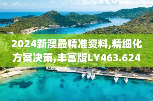 2024新澳最精准资料,精细化方案决策,丰富版LY463.624