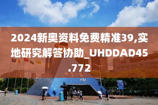 2024新奥资料免费精准39,实地研究解答协助_UHDDAD45.772