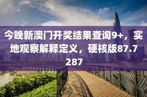 今晚新澳门开奖结果查询9+，实地观察解释定义，硬核版87.7287