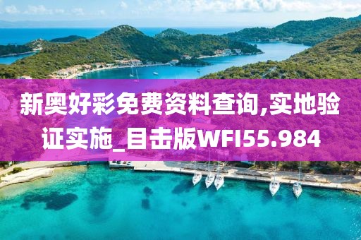 新奥好彩免费资料查询,实地验证实施_目击版WFI55.984